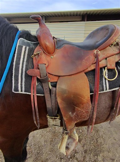 Discover Beautiful Dancing Horses in Las Vegas