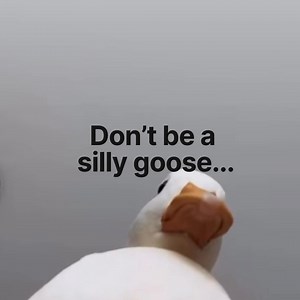 🚨STOP! LifeLock is up to 52% Off! Save on your first year of LifeLock identity theft protection. Get alerts, expert help, and plan‑based coverage - all in one membership. | LifeLock