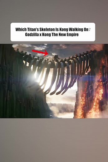 Exploring the Mystery of Kong's Giant Skeleton Discovery