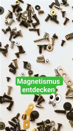 Magnetismus entdecken | Einfaches Experiment für Kinder #Fröbel #Kita #MINT