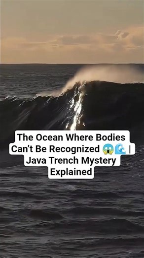 Java Trench: The Deadliest Deep Sea on Earth 🌊☠️ #facts #shorts #shortvideo