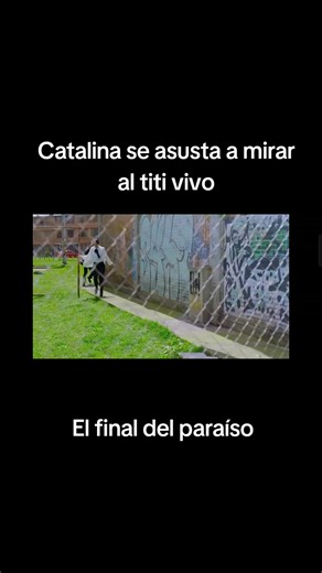 El desenlace de Catalina y Titi en ‘El Final del Paraíso’