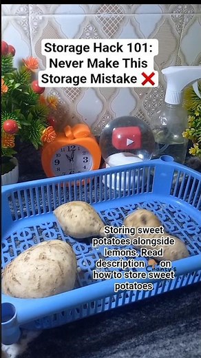 Never Make This Storage Mistake ❌️! Check description. Subscribe for more hacks. #shorts #short