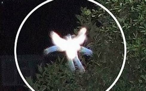 【探索频道】未解之谜 高清 大合集