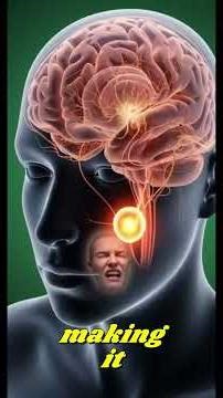 This is What Happens When You Hold Your Pee Too Long