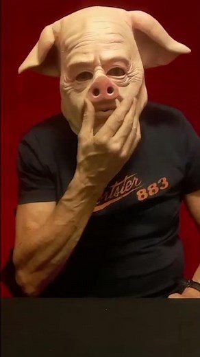 Pig Mask 🐷