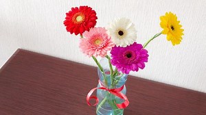 5 Cara Membuat Vas Bunga dari Botol Plastik, Mudah Dibuat di Rumah