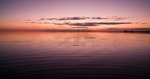 2K views · 171 reactions | "Botswana has the largest population of elephants in the world. As none of the National Parks are fenced and they are free to roam as they please throughout the vast majority of the country, you often find yourself in the company of these awe-inspiring giants." - Simon Watson, photographer. | Rhino Africa | Facebook