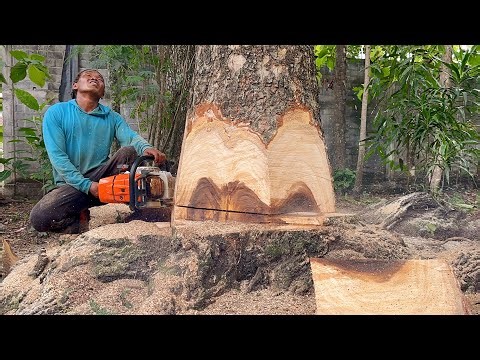 The last troublesome tree... Cut down 3 trees in the middle of the village‼️