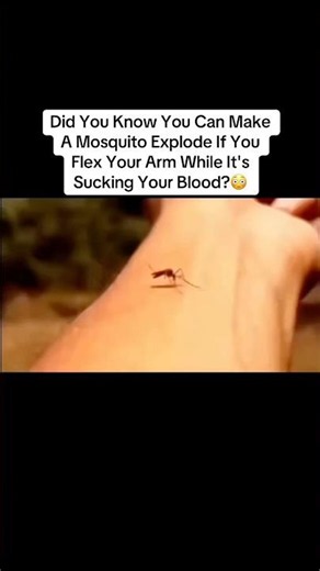 Did You Know You Can Make Mosquito Explode If You Flex Your Arm While It Suck Your Blood?😳 #shorts