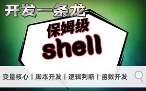 【开发一条龙—光速拿下shell】效率最大化，一个视频搞定变量核心/脚本开发/逻辑判断/函数开发，全套保姆级教学无私分享，白嫖到高工！
