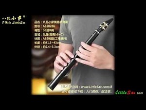 "Di - Da" 8-Hole LittleSax/Pocket sax/Xaphoon/Mini Sax/Simple Mini Saxophone 《滴答》