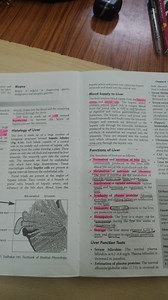 Explain the histology of the liver: Describe the arrangement o... | Filo