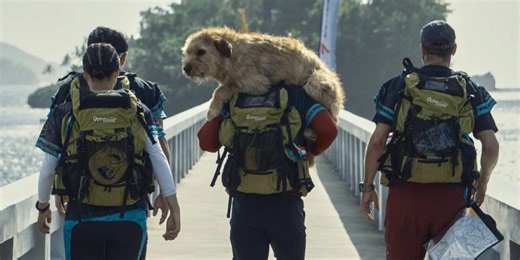 [Noticias] Así es 'Arthur': el perro que atravesó la jungla para encontrar un hogar llega a Prime Video