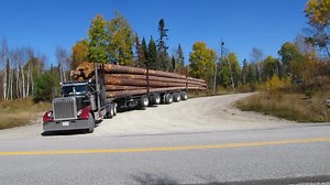 Pete 359 classic 😍 | American truckers