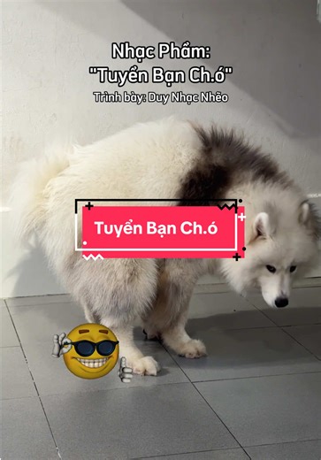 Nghe nói nhạc này vai rồ mấy hôm nay 😋😋 #cherrypetcoffee #cafethucung #cafethucungsaigon #tiktokgiaitri #rap