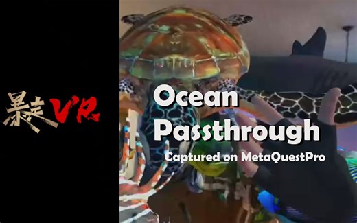 【暴走VR】海洋穿越Ocean Passthrough