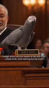 11K views · 137 reactions | Funny Tech on Reels | Facebook