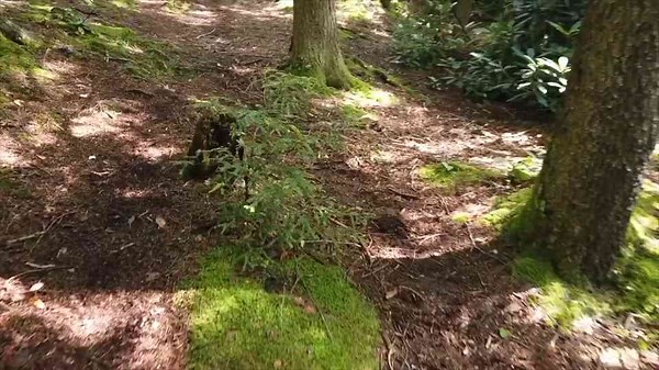 S2E9-DIY Roof Top Tent Planning (RTT, Tepui, Smittybilt, CVT, Tuff Stuff, Xterra, DIY Project)