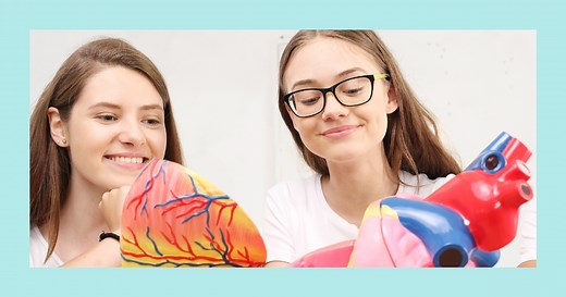 Fun Facts About the Heart for Kids (2024)🫀 Human Body Learning