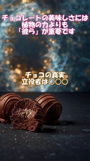 チョコの主役は、カカオではありませんでした。 #shorts