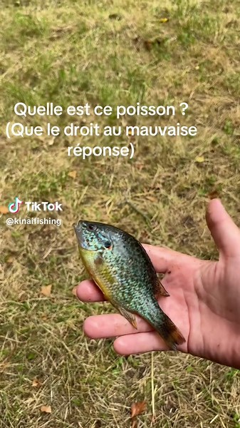 kinai vincent sur TikTok