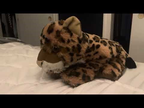 Leopard sound effect
