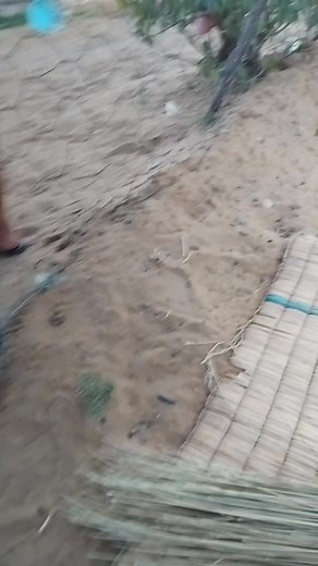 Carly Nomoya on Reels