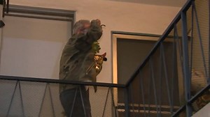 25K views · 88 reactions | VIDEO: Democratic donor Ed Buck told a Fox...