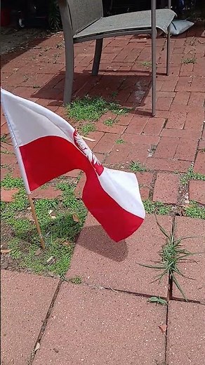 Flag of Poland waving in the wind (with eagle)