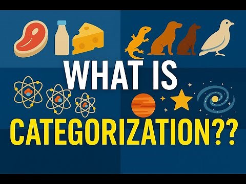 PoP Ep01: What Is Categorization? How We Organize the Universe Without Knowing It
