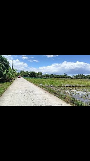 PTPA Admin ♥️ For sale ❗ ❗ ❗ Farm lot for sale ✅Rice field irrigated ✅Income generated ✅Along brgy cemented road ✅50 meters frontage ✅Residential area ✅electricity, water (nawasa) ✅internet connection ✅Lot area: 10,100sqm (1has) ✅Price: 2.5million ✅Titled property ✅Location: Guimba Nueva Ecija ✅20mins drive to Pura exit tplex | Rose Garcia