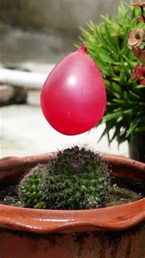 Slow motion experiments #shorts #youtubeshorts #slowmotion