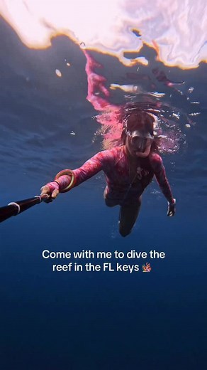 Come with me to dive the reef in key largo 視 : @slipinsurfskins BLACK FRIDAY SALE 25% off site wide -  in bio . . . #foryou #florida #freediving #instagood #explore #reef #apnea #slipinsurfskin #divewithtiff | Tiffany Marie | Facebook