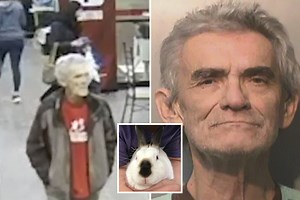Beast beat rabbit to death with a stick and beheaded animal before saying ‘I'm having rabbit stew tonight’