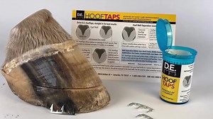 DE Hoof Taps! Thank You Doug for sending me these hoof taps to play with. folks, what do you think? Have you tried these? http://www.patreon.com/hoofstudies | The study of the equine hoof