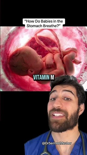 “How Do Babies Breathe in the Stomach?” #science