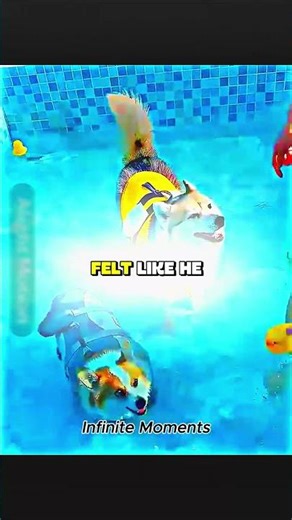 TINY CORGI VS DEEP WATER #viral #cats #infinitemoments #motivation #cute #viralsongs #viralvideo