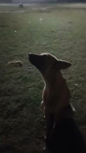 baba ramdev ka chela 😂😅🤪