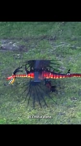 Hookfang, the fiery Monstrous Nightmare from How to Train Your Dragon, was recently captured in stunning detail by WESH Chopper 2. The aerial shot revealed the dragon in action during what appeared to be drone testing for the highly anticipated How to Train Your Dragon themed world, set to debut at Universal Epic Universe on May 22, 2025. As excitement builds, Hookfang’s appearance offers a thrilling sneak peek at the magic and adventure awaiting fans. #epicuniverse #epicuniverseorlando | Univer