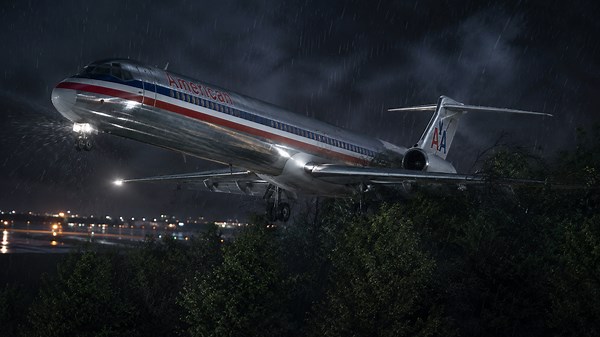 American 1572 hit trees on final approach
