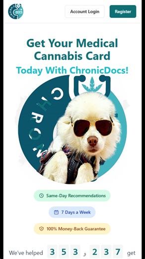 Gizmo Full Starter Guide