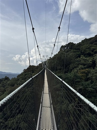 Exploring Rwanda's Amazing Ziplining Adventures in 2026