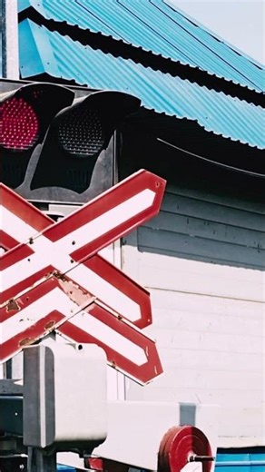 Red stop signs are SCIENTIFIC genius 🚦👁️ Physics saves lives!