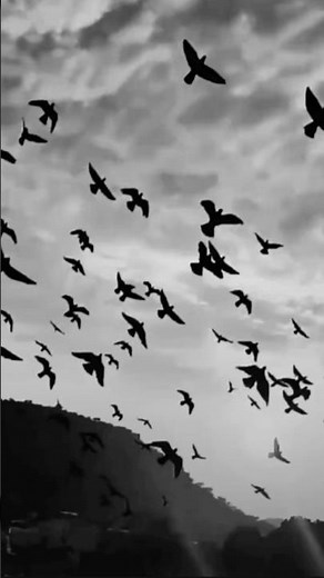 Rang the Noor tha💖💜 full lyrics song