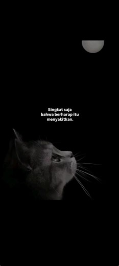 bawalh.cinta mu saadboy🙏####fyppppppppppppppppppppppp