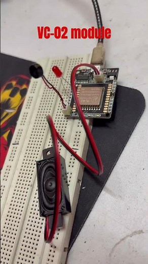 VC-02 offline voice recognition