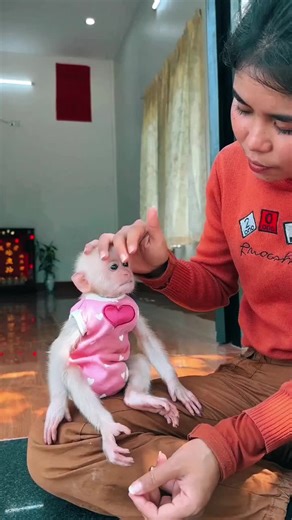 Adorable Baby Monkey Loves and Plays with Mom