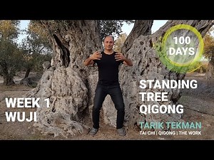 Standing Tree Qigong Week 1/15 Wuji