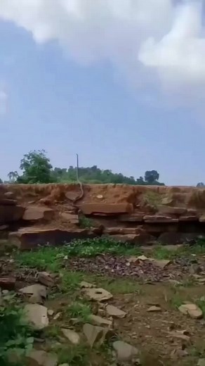 Slithering Snake in Natural Habitat: A Fascinating Journey